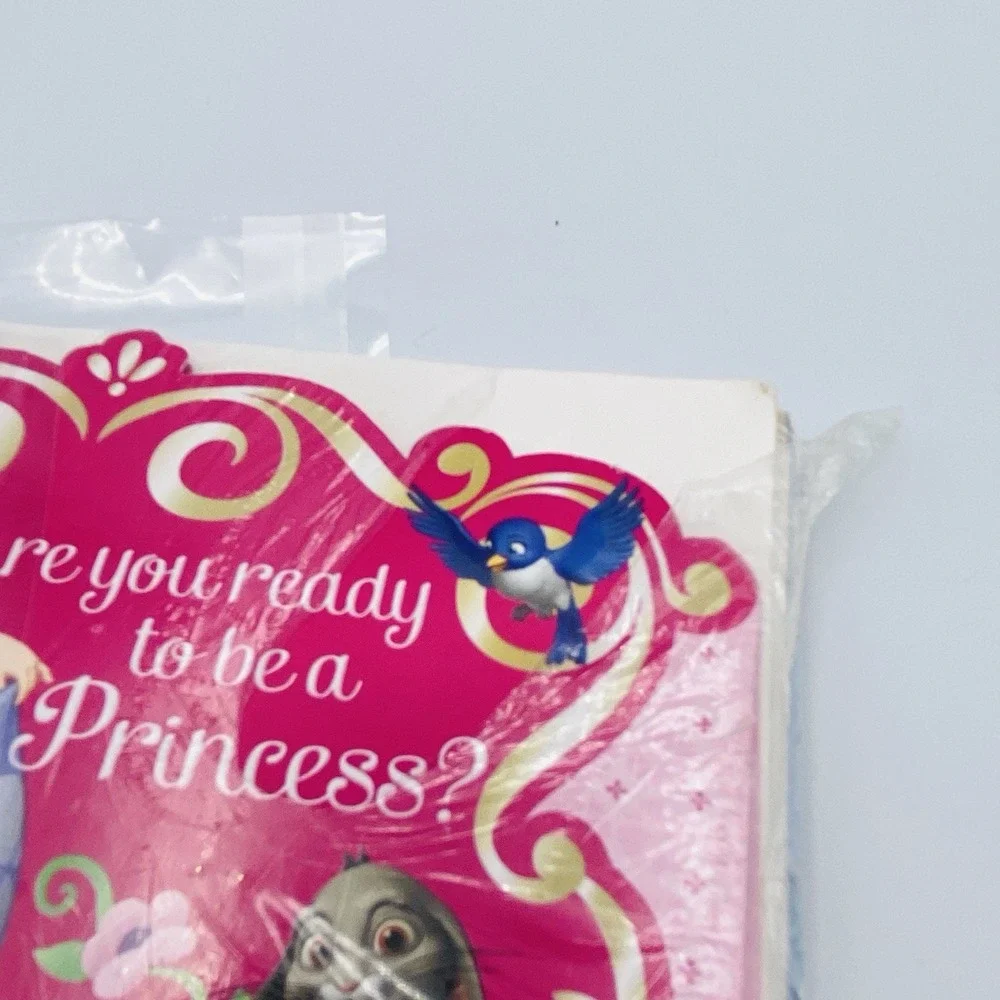 Disney Sofia the First Princess Invitations & thank you postcards with envelopes